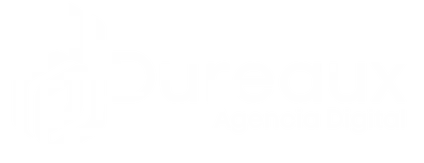 logo dureauxmedia transparente 424x163